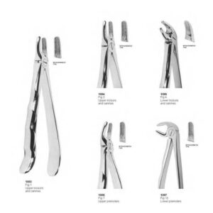D018 Dental Extracting Forceps with anatomically shaped handle upper molars lower roots