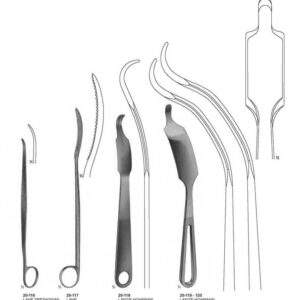 G322 Bone Levers Lane Trethowan Lane Lange Hohmann